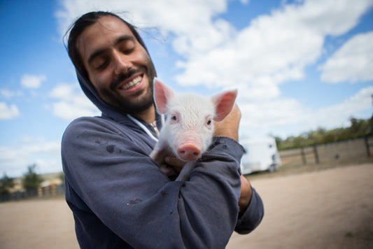 Five ways you can be a more active vegan in 2016