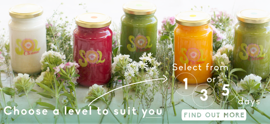 Sol Cleanse- Meet the girls who share the glow!