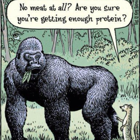 Much ado about protein