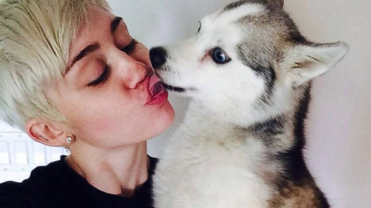 Celebrity vegans: a help or a hindrance?