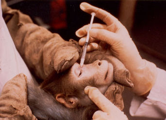 Cosmetic Testing - We Name & Shame!