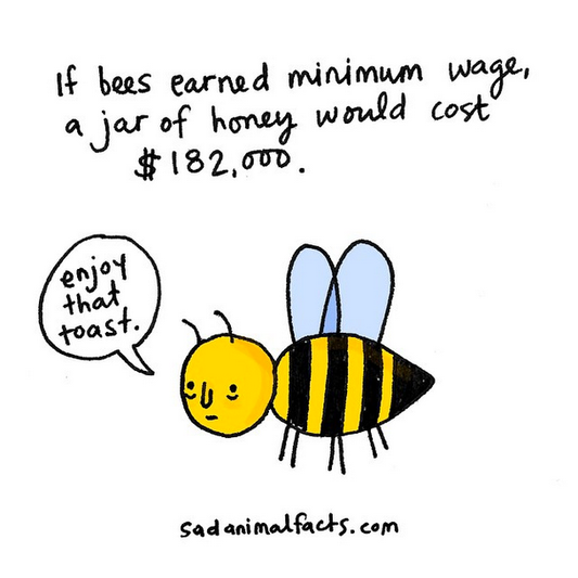 Why I Don't Eat Honey